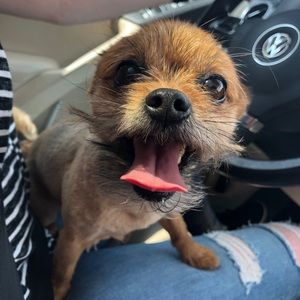 Meet your Posher, Gracie